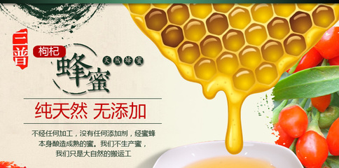 枸杞蜂蜜 瓶装 380g/瓶 由三普蜂业专属养蜂园提供_蜂蜜/蜂皇浆/蜂产品批发